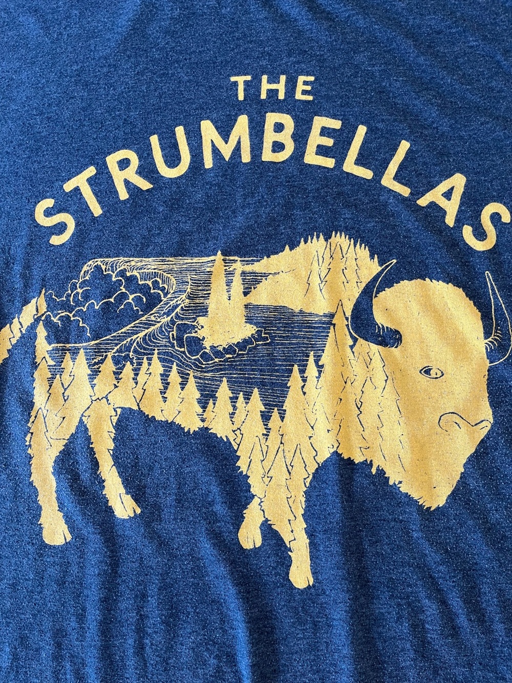 The Strumbellas Buffalo Bison Graphic Band Tee